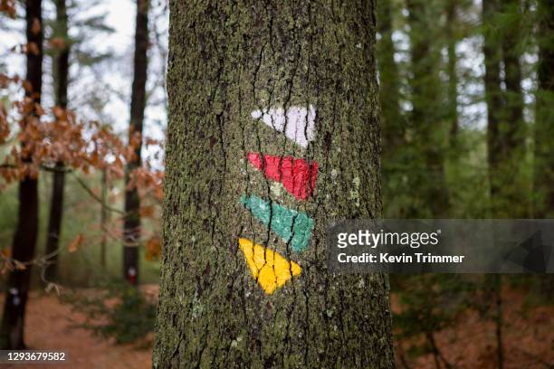 trail markers on tree in forest - rhode island sign stock pictures, royalty-free photos & images