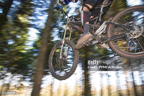 Mountain biker jumping over a bump, in a forest, Rogate, UK 2005