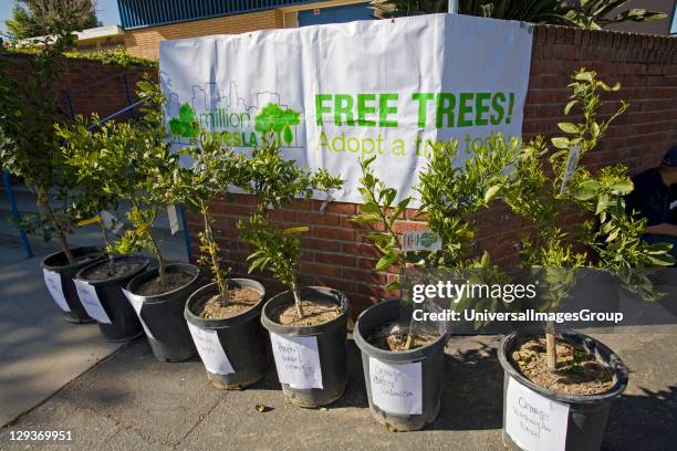 Free trees given away at Tree Planting at Calvert Elementary School in Woodland Hills. LA Conservation Corps provides job skills training, education...