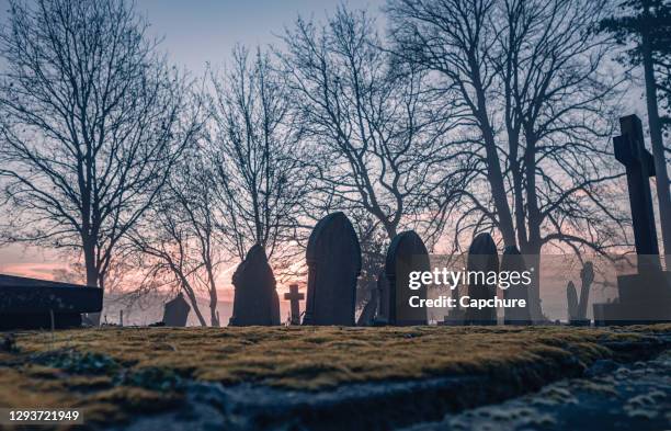 headstones in a misty graveyard. - begravningsplats bildbanksfoton och bilder