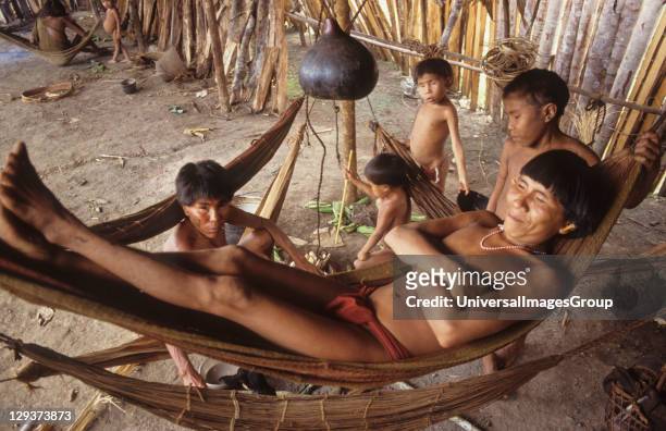 Yanomami Amerindians, Venezuelan Amazonas, Serra Parima, Orinoco River Basin, Yanomami village, Families live in large communal homesteads, Each...