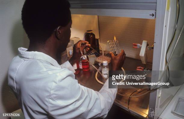 Daloa Hospital, Cote Divoire, Lab Tests On Body Fluids To Establish The Presence Of Parasites That Cause Sleeping Sickness,