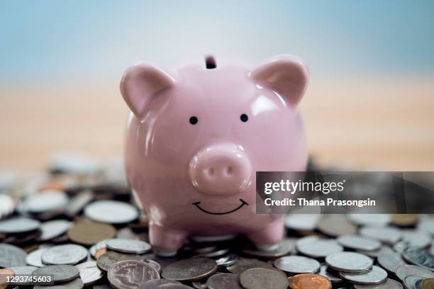 little pink piggy with money - she can skate stock pictures, royalty-free photos & images