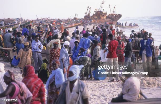 Fishing, Mauritania, Nouakchott, Over Fishing, Landing Fish On The Beach 000 Traditional Fishing Boats Compete For Fish - The Main Economic Activity...