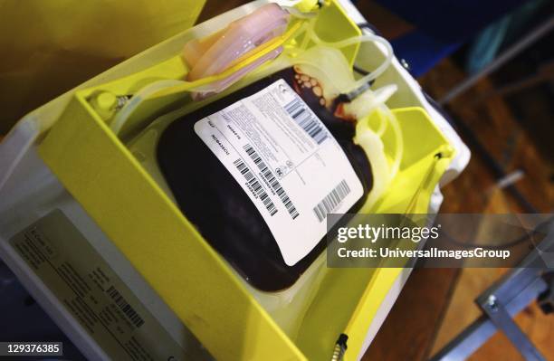 Storage bag being filled with just donated blood, NHS National Blood Service collection centre