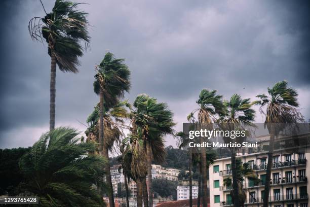Violent Wind Photos and Premium High Res Pictures - Getty Images