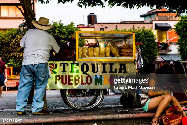 tequila town in jalisco state mexico - jalisco (staat) stockfoto's en -beelden