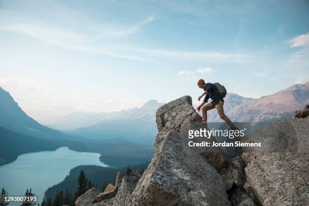 a man standing on a rocky point overlooking peyto lake. - escursionismo foto e immagini stock
