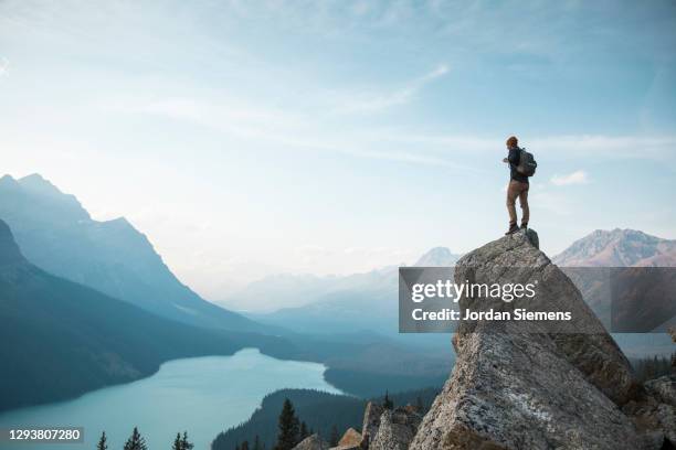 a man standing on a rocky point overlooking peyto lake. - bergen stockfoto's en -beelden