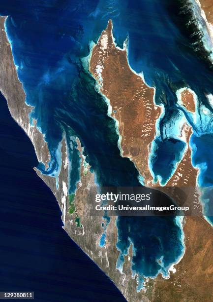 Shark's Bay, Australia, true colour satellite image. Shark's Bay is on the East Coast of Occidental Australia. The white areas are either salt depots...