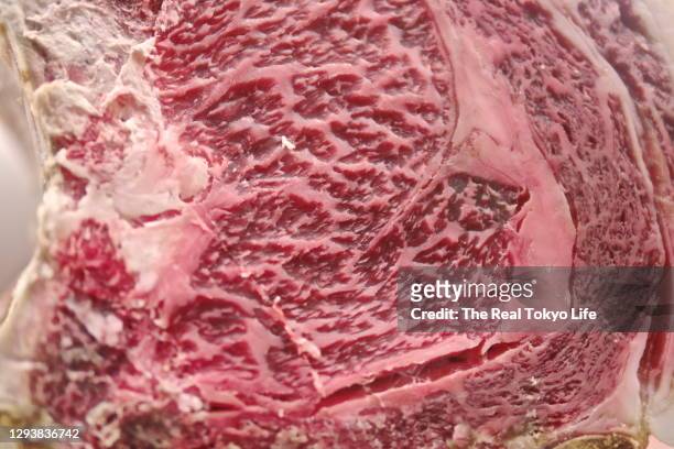 meat_p1370831.jpg - marmoriertes fleisch stock-fotos und bilder