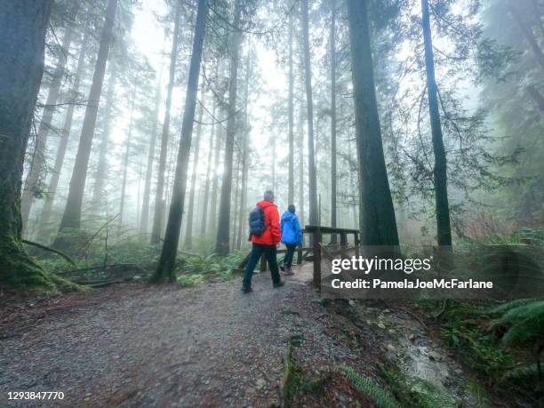 mature, multi-ethnic couple winter hiking through wet, west coast rainforest - forest bathing stock pictures, royalty-free photos & images