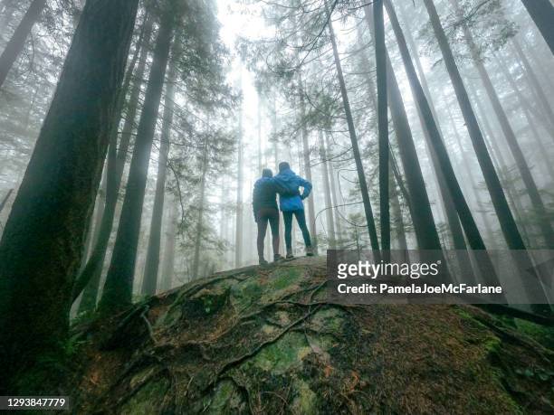 tochter und mutter mit blick auf den misty winter forest - empathie stock-fotos und bilder