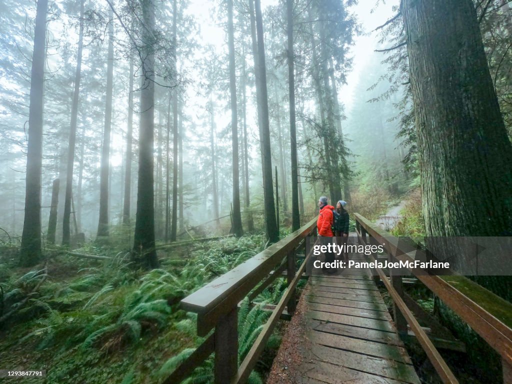 Volwassen vader en multi-etnische dochter genieten misty bos van brug