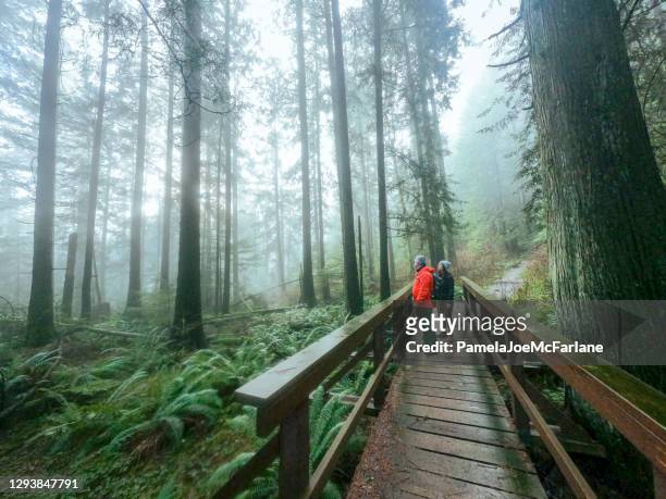 mature father and multi-ethnic daughter enjoying misty forest from bridge - british columbia stock pictures, royalty-free photos & images