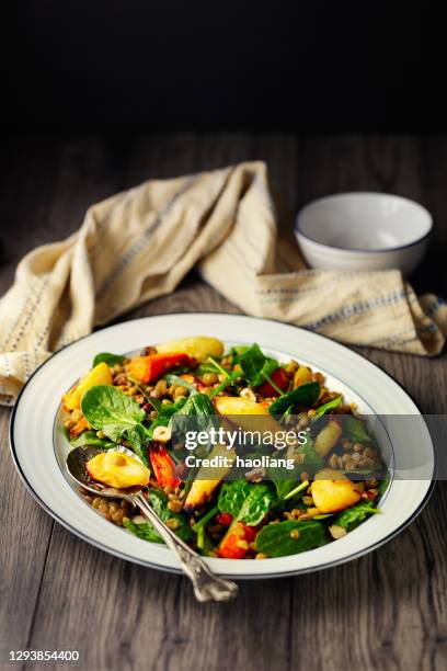 healthy vegan roasted vegetable, spinach, and lentils salad - lentil stock pictures, royalty-free photos & images