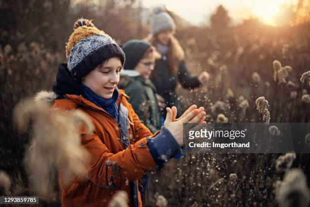 kinderen die met droog gras op de wintergang spelen - winter stockfoto's en -beelden