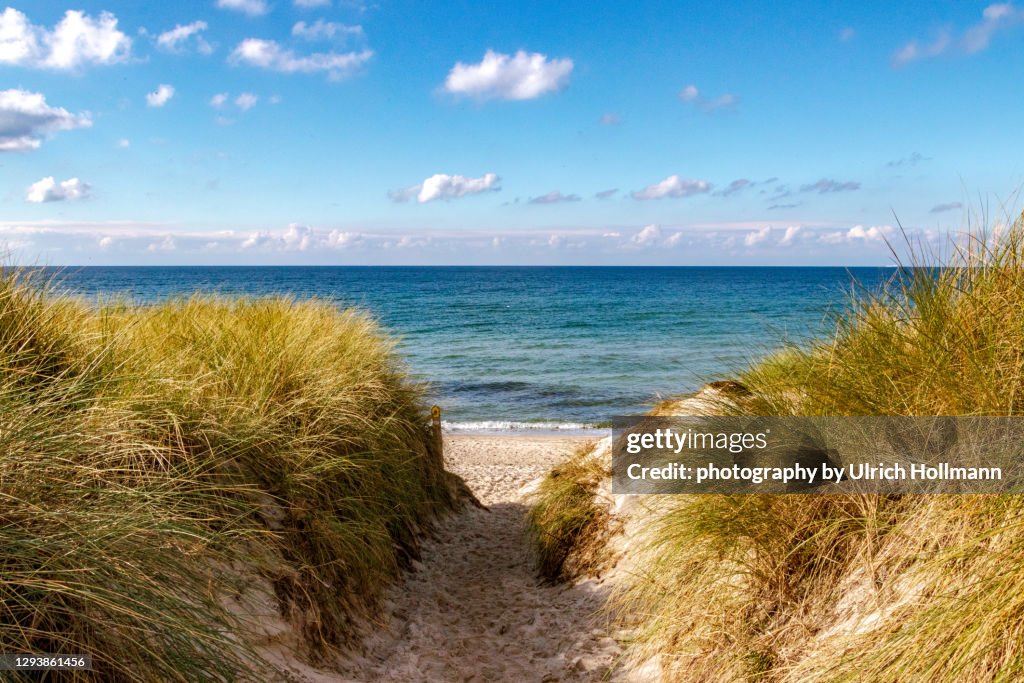 Coastline at Western Pomerania Lagoon Area National Park, Mecklenburg-Western Pomerania, Germany