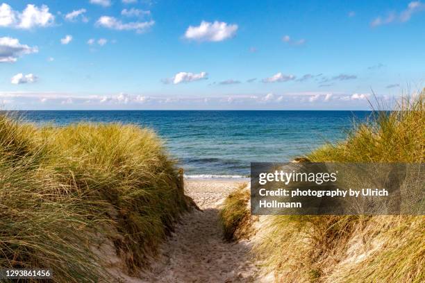 coastline at western pomerania lagoon area national park, mecklenburg-western pomerania, germany - beach dunes stock-fotos und bilder