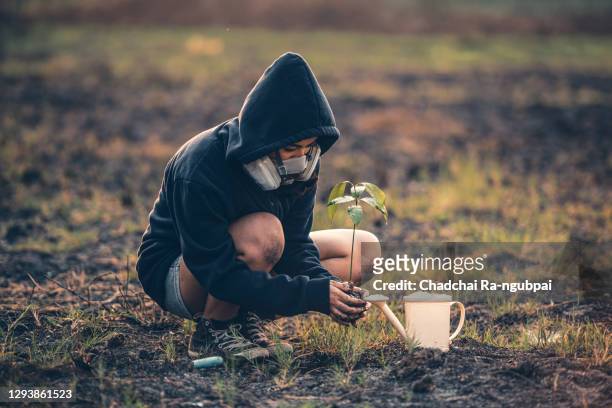 asian woman wearing a smoke mask is planting trees in a burnt area. environment tree climate world concepts. - incineration plant stock pictures, royalty-free photos & images