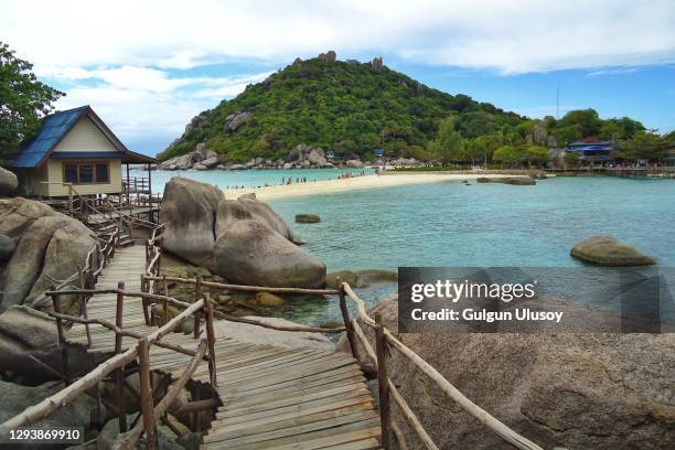 wooden bridge around koh nang yuan island - koh tao thailand stock pictures, royalty-free photos & images