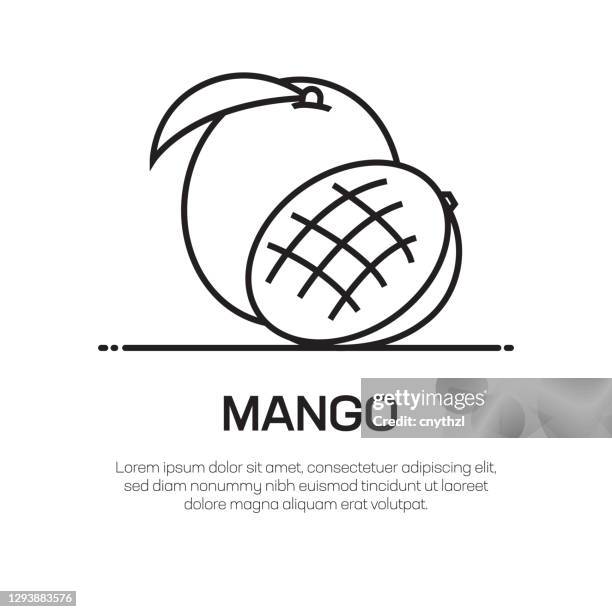 mango fruit vector line icon - einfache dünne linie icon, premium-qualität design-element - mango fruit stock-grafiken, -clipart, -cartoons und -symbole