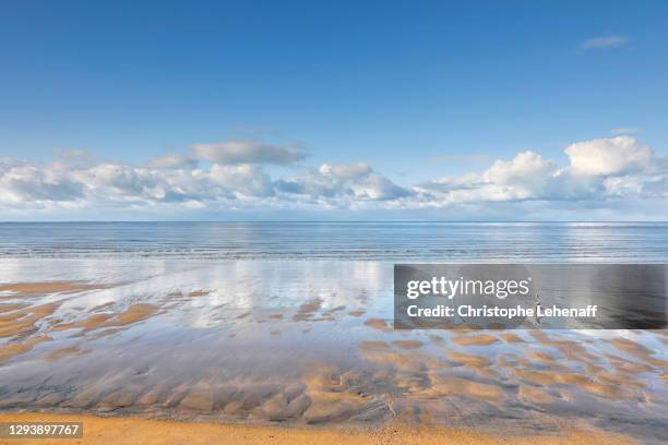 young woman jogging on a beach during winter, in normandy, france - tidal stock-fotos und bilder