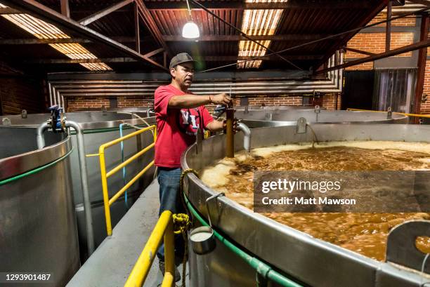 a mexican man checks the alcohol content of sweet agave juice in the fermentation room in a factory in tequila in jalisco state mexico - jalisco state fotografías e imágenes de stock