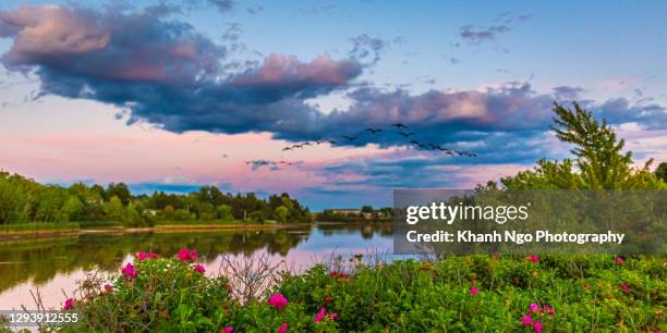 jones lake, greater moncton, new brunswick, canada - new brunswick canada stockfoto's en -beelden