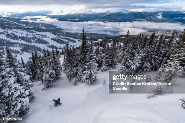 skier rides down steep slope through fresh powder snow - mont blackcomb photos et images de collection