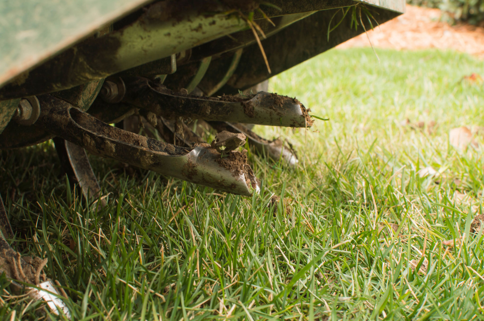 aeration lawn