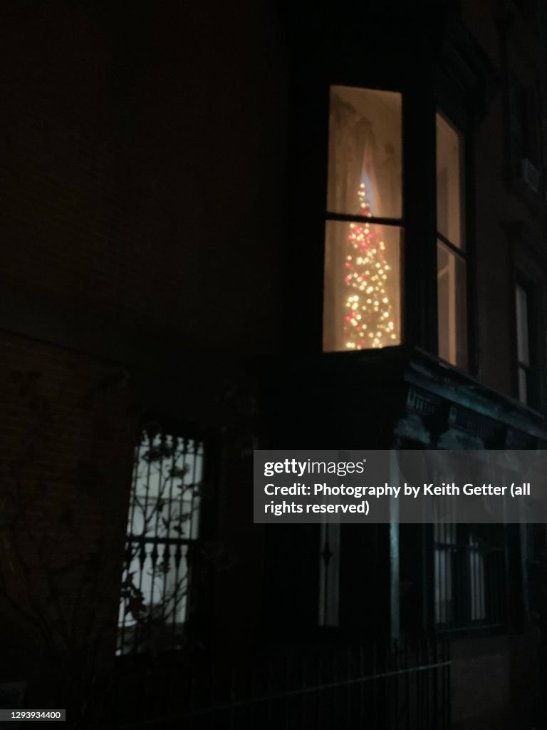 A tall Christmas Holiday tree through a bay window