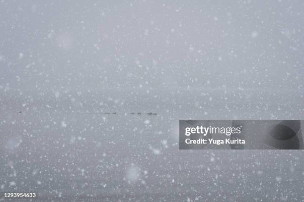 Snow Fall Hard 7,161 A Heavy Fall Of Snow Stock Photos, High-Res Pictures, and Images ...