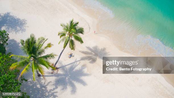 solo traveller play on coconut swing in patong beach, phuket, thailand. - elysium photos et images de collection