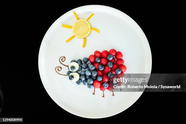 food creation of ladybug shape made of berries fruit from above - fruit art stockfoto's en -beelden