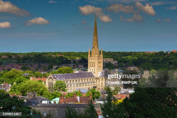 norwich cathedral, norwich uk - norwich cathedral stock pictures, royalty-free photos & images