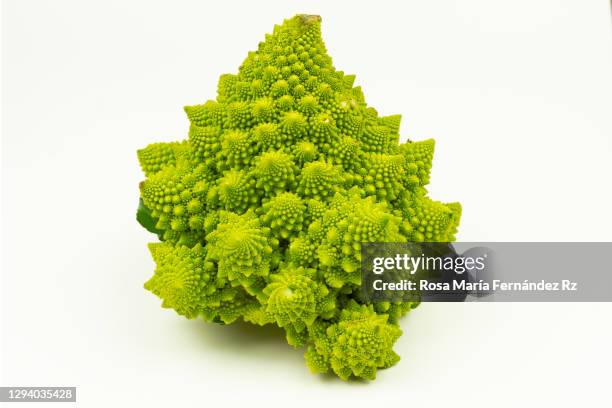 close-up of a romanesco cauliflower on white background. - chou romanesco stock pictures, royalty-free photos & images