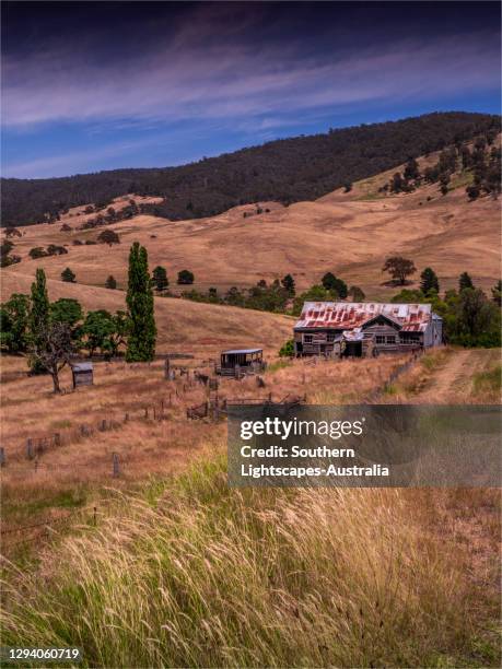 old and abandoned shearing shed in the omeo valley, high country, victoria, australia. - shed stock pictures, royalty-free photos & images