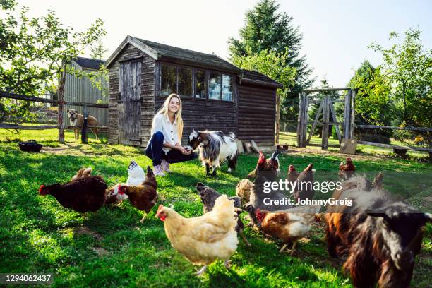 mujer sonriente a principios de los 20 cuidando cabras y pollos - animal feed fotografías e imágenes de stock