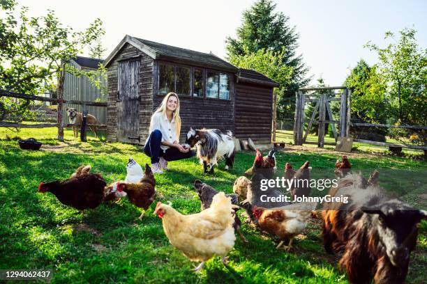 leende kvinna i början av 20-talet ta hand om getter och kycklingar - animal farm bildbanksfoton och bilder
