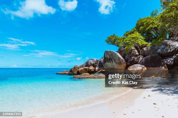 nudey beach, fitzroy island national park, australia - cairns australië stockfoto's en -beelden