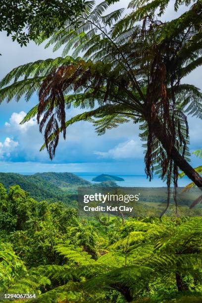 mount alexandra lookout, daintree national park, australia - daintree australia stock pictures, royalty-free photos & images