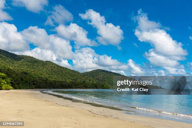 cape tribulation beach, queensland, australia - daintree australia stock pictures, royalty-free photos & images