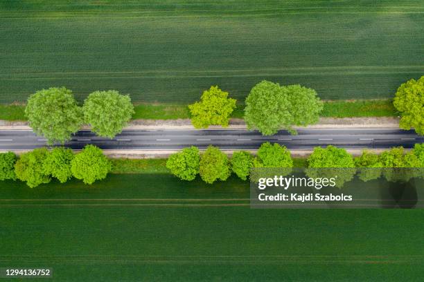 top view straight way in summer - hungary landscape stock pictures, royalty-free photos & images