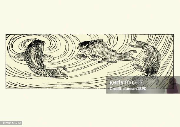 koi carp swimming in a lake, art of japan, japanese woodcut - koi carp stock illustrations