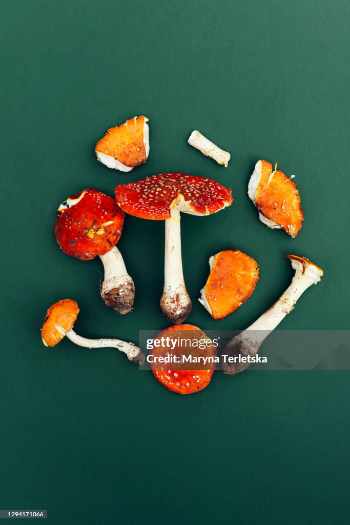 Amanita mushrooms on a green background.
