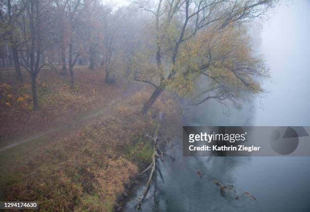 foggy day at river danube - november landscape stock pictures, royalty-free photos & images