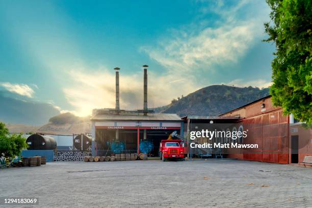 exterior of la cofradia tequila producing  factory in tequila in jalisco state mexico - blue agave plant stock pictures, royalty-free photos & images