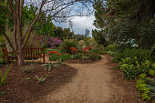 UC Davis Arboretum path to the garden