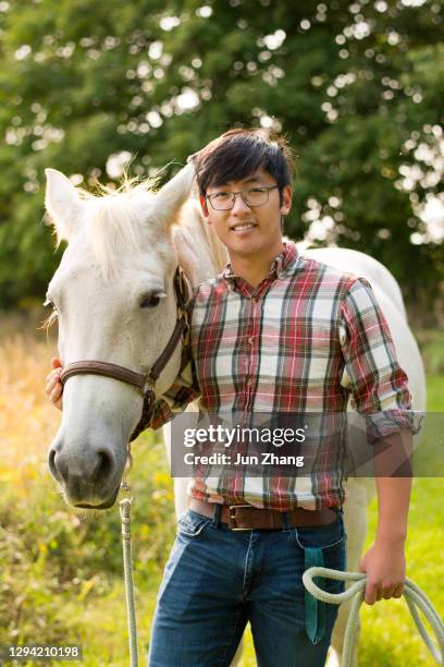 studente veterinario maschio di etnia asiatica in camicia di flanella a trecce cammina con un cavallo bianco in ontario, canada - horse and male and riding foto e immagini stock